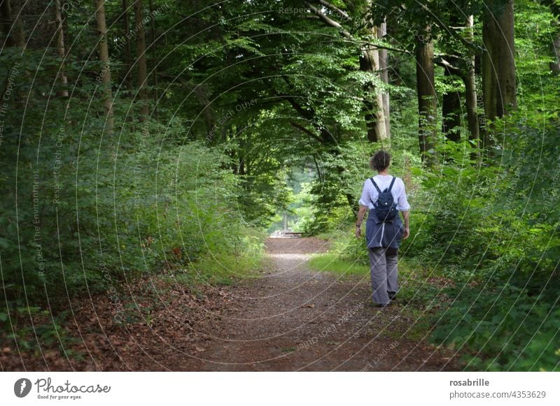 Wanderlust | woman walking alone in summer forest on a forest path Trip wanderlust Forest Going out fun Sports recreational activity hobby off Street hike