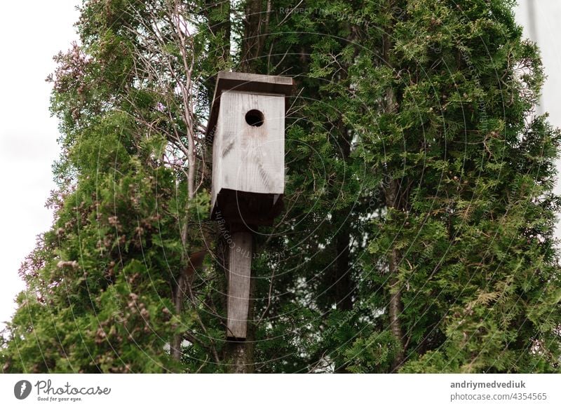 tree house for birds on the tree, birdhouse from the tree for wintering birds forest handmade park shelter wood feathered green hut nature nest promise season