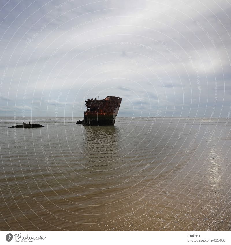 fragment Landscape Sand Water Sky Clouds Horizon Sun Sunlight Winter Weather Bad weather Coast Beach Ocean Navigation Brown Yellow Gray Green wreck Stranded