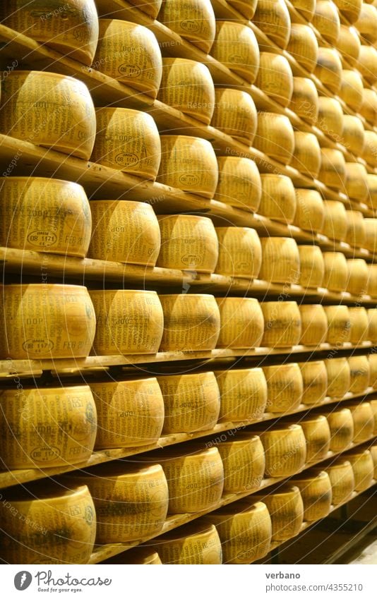 Cheese dairy master cutting a parmesan cheese wheel at the dairy facility storage - caveau Italy aged board business certified cheese-maker cheesemaking