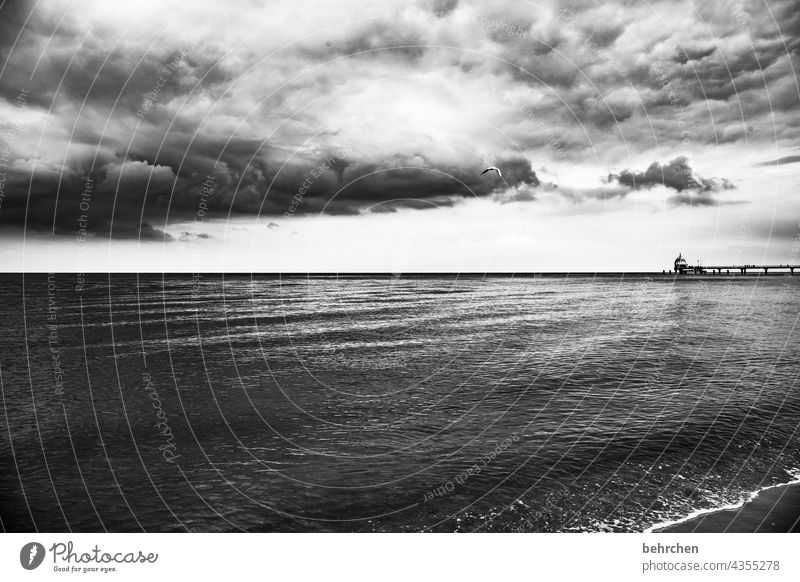 Light and darkness Baltic coast Diving gondola diving bell Sea bridge Zinnowitz Germany Vacation & Travel Baltic Sea Longing Black & white photo Idyll Ocean