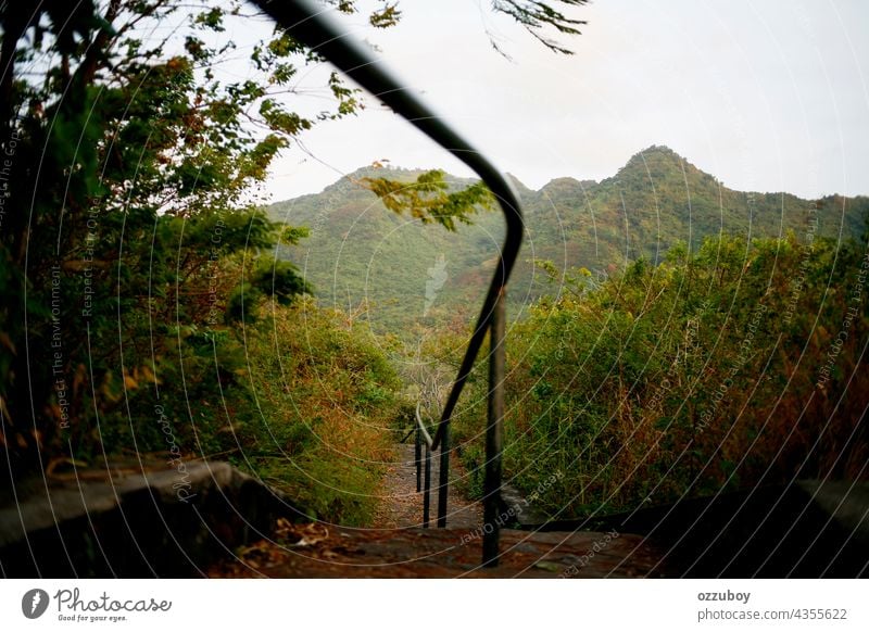 staircase on the mountain nature green outdoor path adventure way trail grass beautiful landscape park stone step up walk hiking walkway old railing day forest