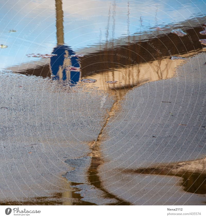 wetland Pedestrian Street Road sign Harbour Wet Deluge Inundated Water Puddle Rainwater Signs and labeling Town Footpath Flood Sidewalk Traverse Signage