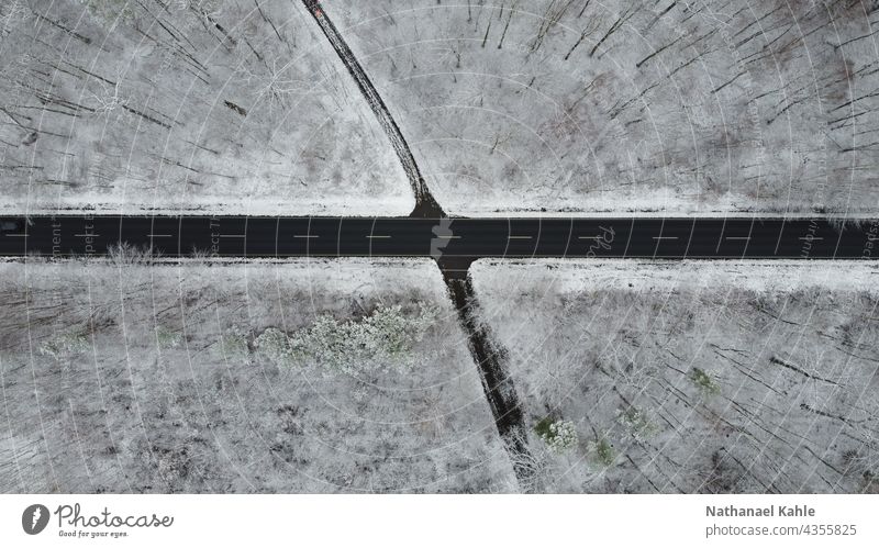 A lonely road through a winter forest photographed with the drone. Nature Landscape Winter Forest Street forsake sb./sth. Tree Snow Ice Cold Exterior shot