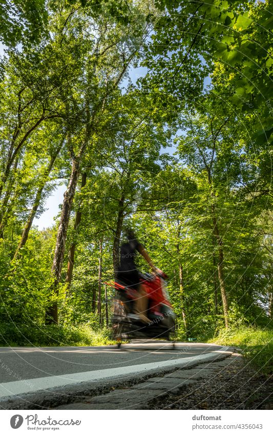 Cycling in the park Bicycle Mobility mobility turnaround Wheel cycle path Forest Cycle path Street Lane markings Asphalt off Direction Line Navigation Park