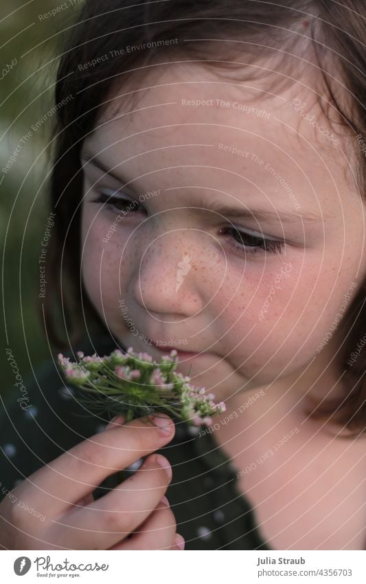 Girl with freckles smells a flower Flower Wild carrot blossom Freckles Green green eyes cute Cute Summer Summery Summer mood pretty hold hands Blossom sniff