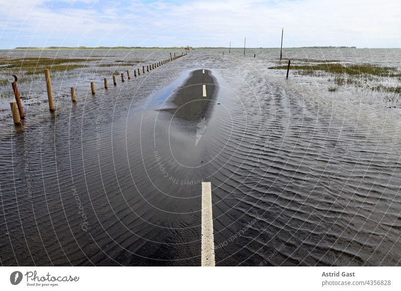 High water completely flooded a road. Dangerous storm with lots of rain Flood Deluge High tide inundation Storm Gale Water Street inundate Thunder and lightning