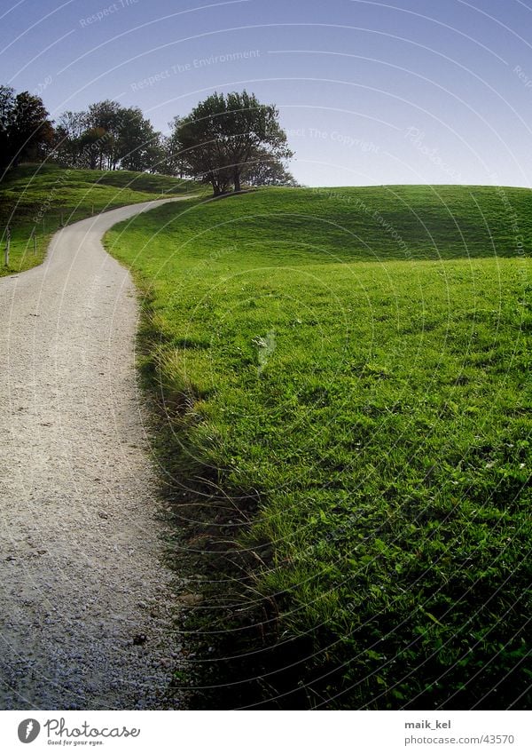 dirt road Grass Green Footpath Americas strip of land Lanes & trails Pasture Nature