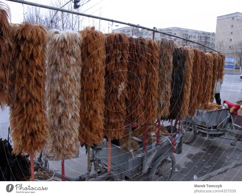 Street hawker in China having lots of feathers on display. street scene Town Asia everyday life mobile trader Exterior shot makeshift