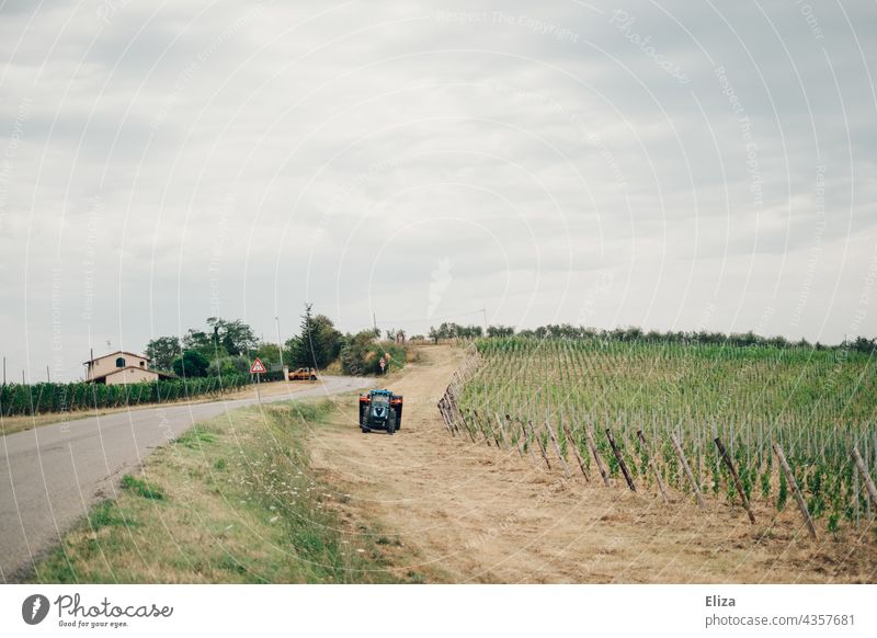 A tractor next to a vineyard in the Tuscan countryside Tuscany Vineyard Wine growing Tractor Landscape Italy cloudy Rural Winery Country road Green Sky grey sky