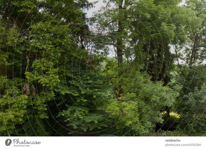 View into the deciduous forest Germany Village holidays Hesse idyll Small Town Landscape Agriculture Nordhessen Summer fresh from the summer vacation Forest