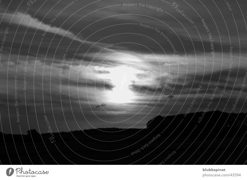 Sunset near Dettingen Black White Back-light Clouds Tree Contrast Sky