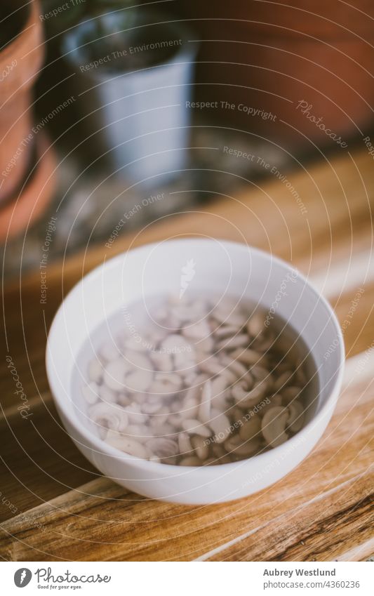 soaking cashews to make cashew milk blogger blue coffee cook cooking creamer eat food health healthy home homemade kitchen nut bag nut milk nuts organic plant