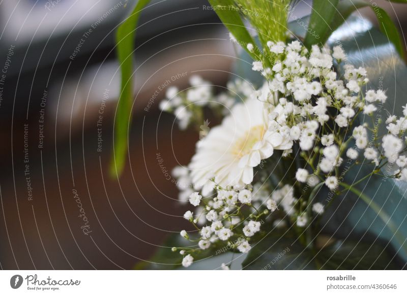 Flower decoration for wedding in the church with veils | veiled Baby's-breath Wedding Church Decoration flowers floral Ostrich Bouquet Church pew