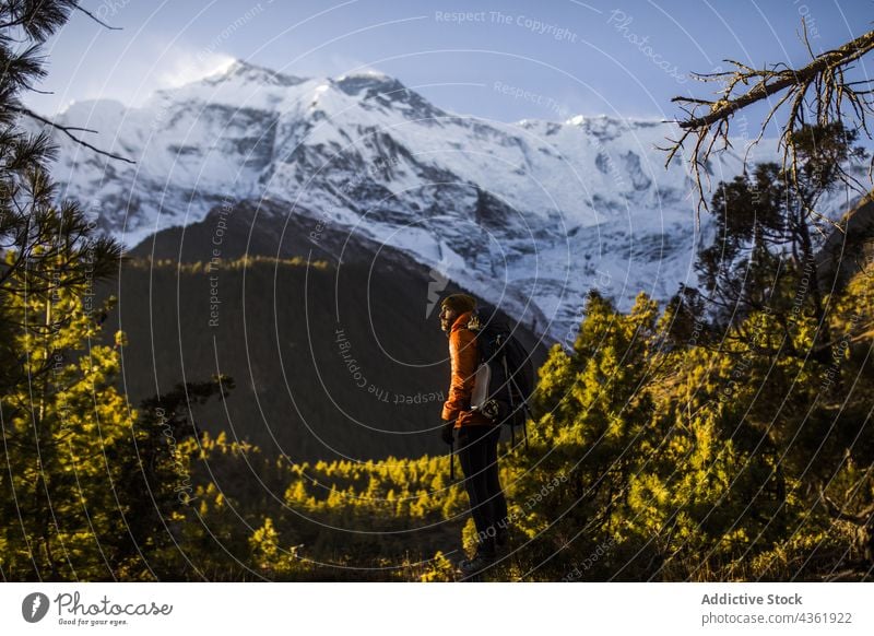 Male traveler admiring scenery of forest and rocky mountain ridge on sunny day snow landscape coniferous valley highland range woods viewpoint himalayas nepal