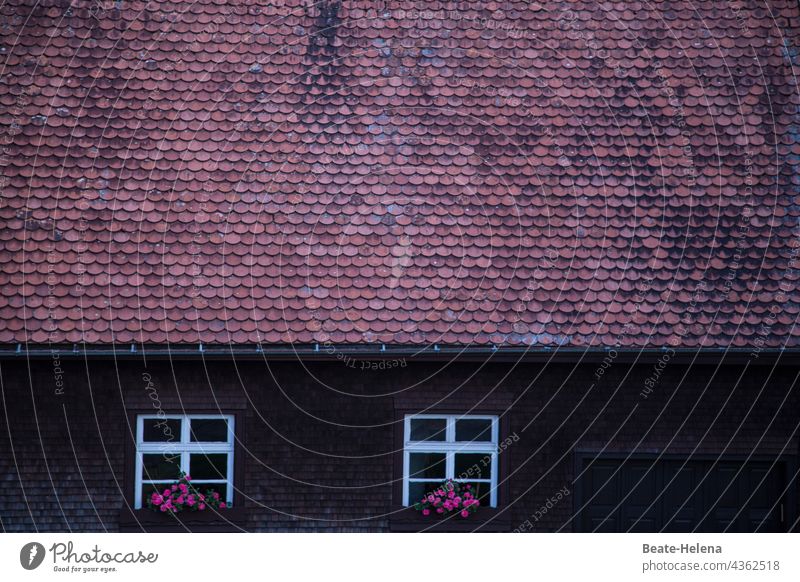 Black Forest house Roof Tiled roof little window window decoration flower decoration Homey House (Residential Structure) Exterior shot Roofing tile Architecture