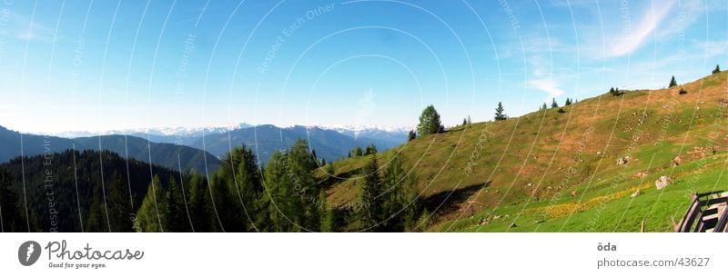 cabin panorama Panorama (View) Tree Forest Alpine pasture Peak cross Mountain Hut Vantage point Elmau Large Panorama (Format)