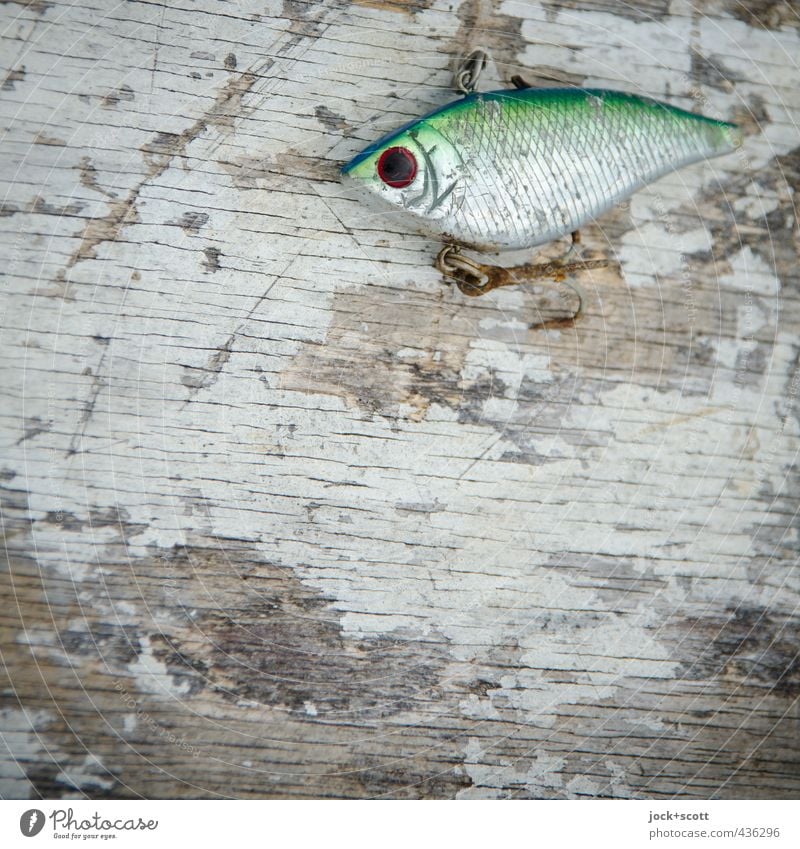 fishing lure Fishing (Angle) wood Metal Rust Lie Authentic Small Near Cute Retro Bait Checkmark Replication Second-hand barter Surface structure Mock-up Things