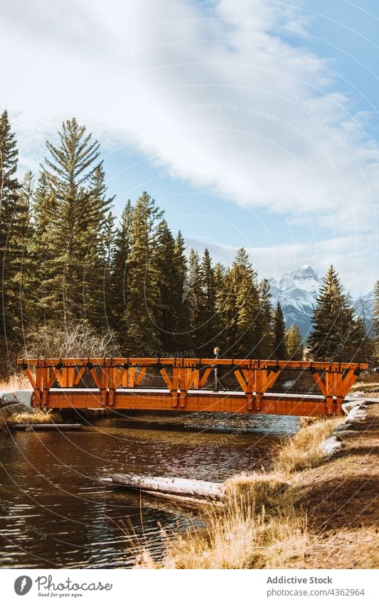 Traveler standing on bridge over river in forested highlands traveler footbridge mountain nature landscape autumn alone environment journey wanderlust explore