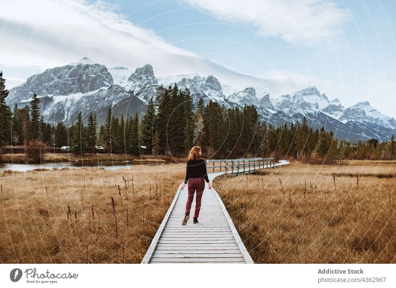 Anonymous woman walking on wooden path near forest and snowy mountains boardwalk valley nature traveler landscape season winter tree canmore alberta canada