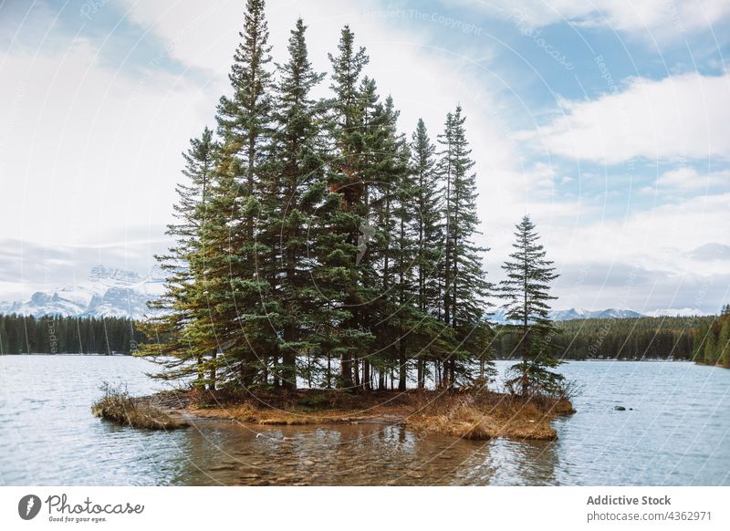 Islet with coniferous trees in lake islet nature shore water growth sky cloudy alberta canada banff national park landscape scenic countryside season forest