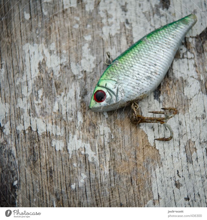 fisheye Fishing (Angle) Bait wood Metal Rust Authentic Small Near Original Culture Center point artificial Fisheye Checkmark Second-hand Surface structure