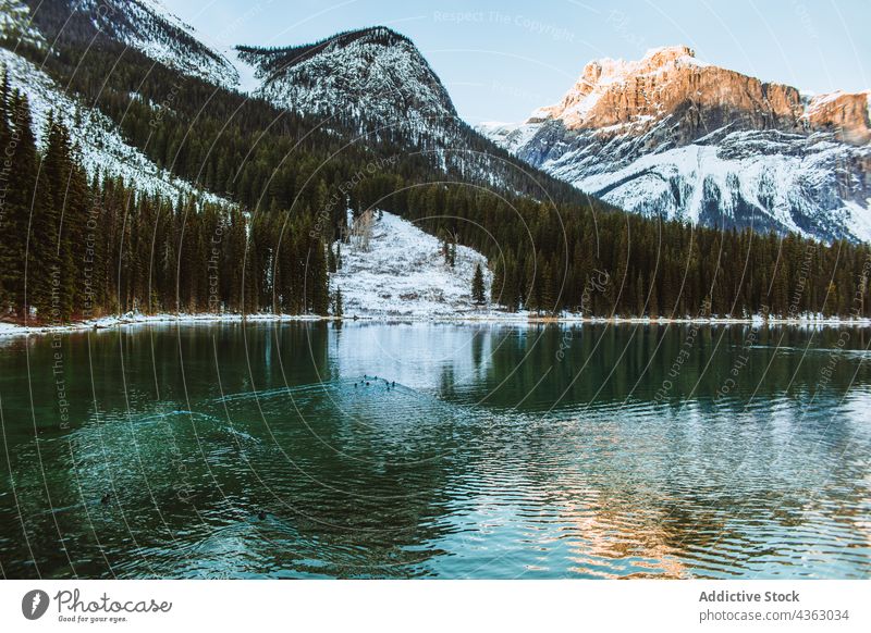 Calm lake reflecting snowy mountains winter reflection shore calm clean sky cloudy emerald lake banff national park alberta canada water ridge nature range