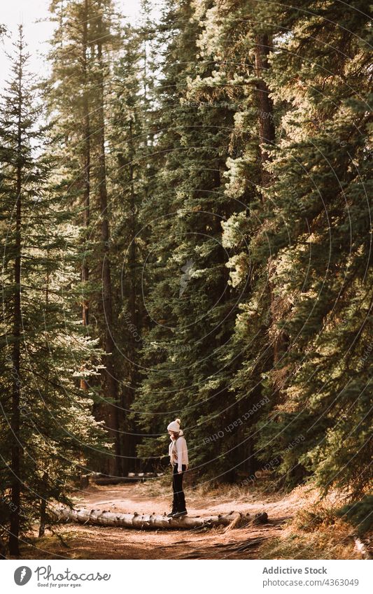 Female hiker standing in coniferous forest traveler walk nature explore path tree adventure countryside alberta trunk canada crescent falls banff national park