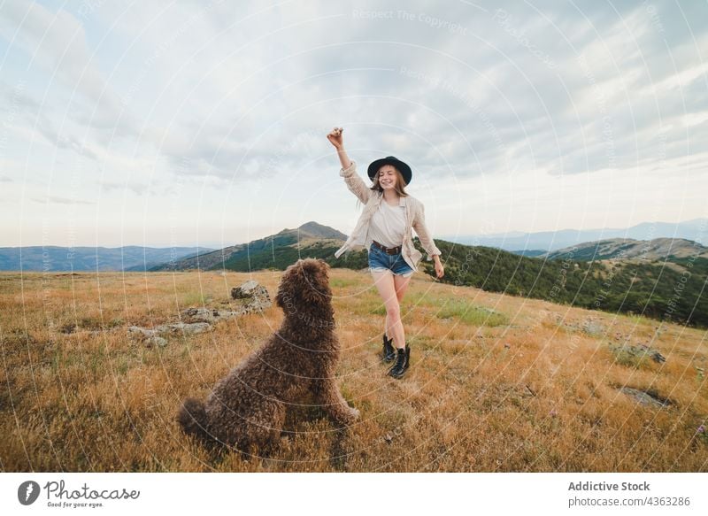 Cheerful woman playing with dog on hill in mountains run labradoodle having fun carefree stick together playful female owner canine happy nature friend cheerful