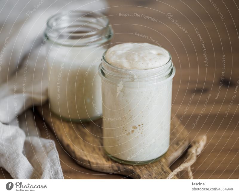 Wheat sourdough starter different hydration levels sourdough hydration dough ingredient bake baking being sour dough bread making breadmaking bread-making glass