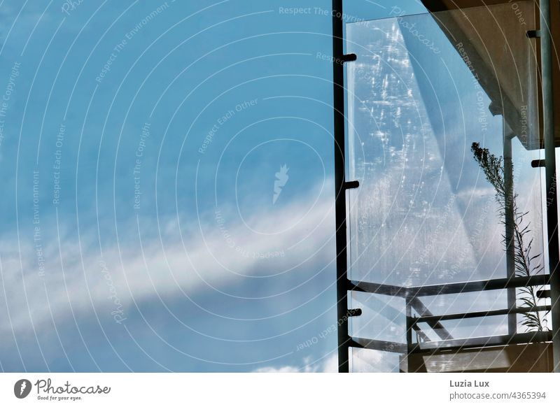 A neglected balcony in the sunlight, against a bright blue sky Balcony Sun Sunlight Blue Blue sky Brilliant Clouds Plant Withered Empty Gloomy Bright Summer