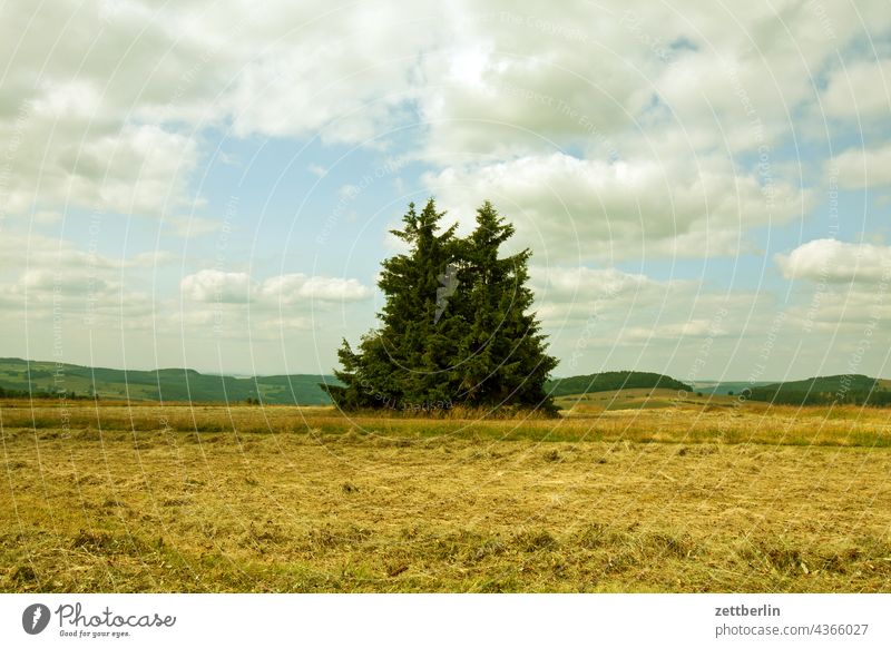 Coniferous trees on the Heidelstein (Rhön) Germany Village holidays Hesse idyll Small Town Landscape Agriculture Nordhessen Summer fresh from the summer