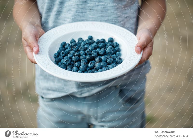 summer Child Plate Raw Dessert Mature Close-up handful Colour photo Fresh Blue Harvest berry fruit people Fruit Hand Berries Food photograph luscious