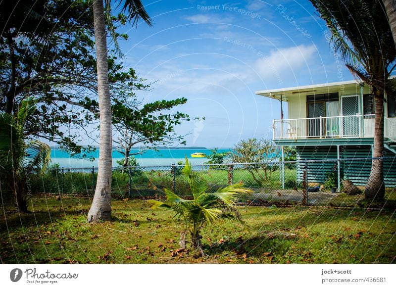 sea view, blue sky Lifestyle Clouds Beautiful weather Tree Exotic Garden Meadow coast Pacific Ocean Queensland Motorboat Warmth Safety (feeling of) Idyll