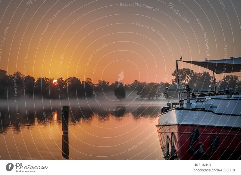 with the sunrise the fog over the water disappears River Sunrise Havel Brandenburg Orange ship Morning fog reflection Twilight silent Idyll idyllically fluid