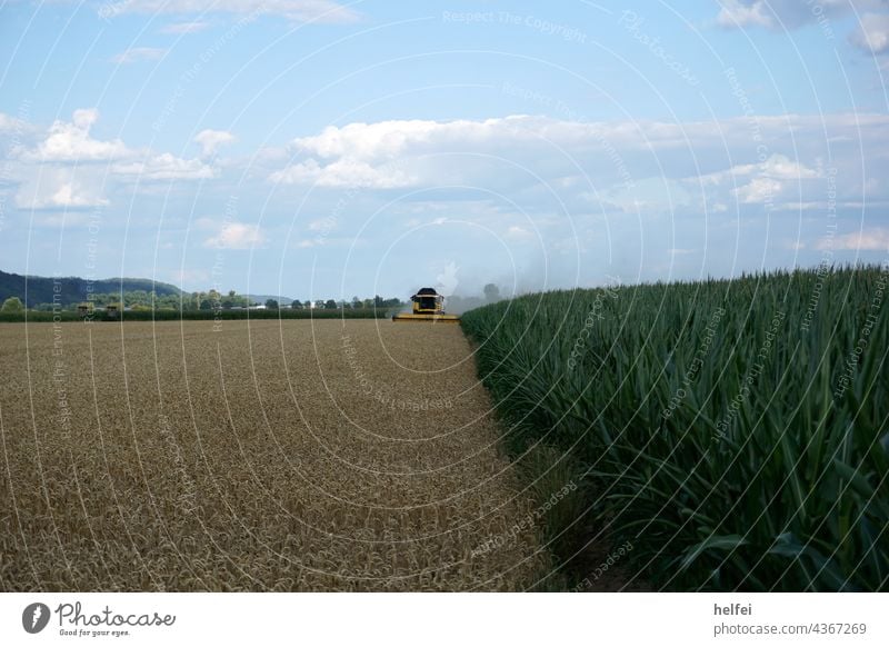 Combine harvester at work in a field in best weather with blue sky Field Agriculture harvesting machine Harvest Rural Machinery Wheat Landscape Farm