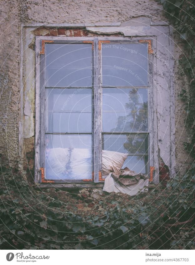 old window with dirty cushion dwell Old House (Residential Structure) Cushion frowzy Gloomy Transience Facade Window Building Wall (barrier)