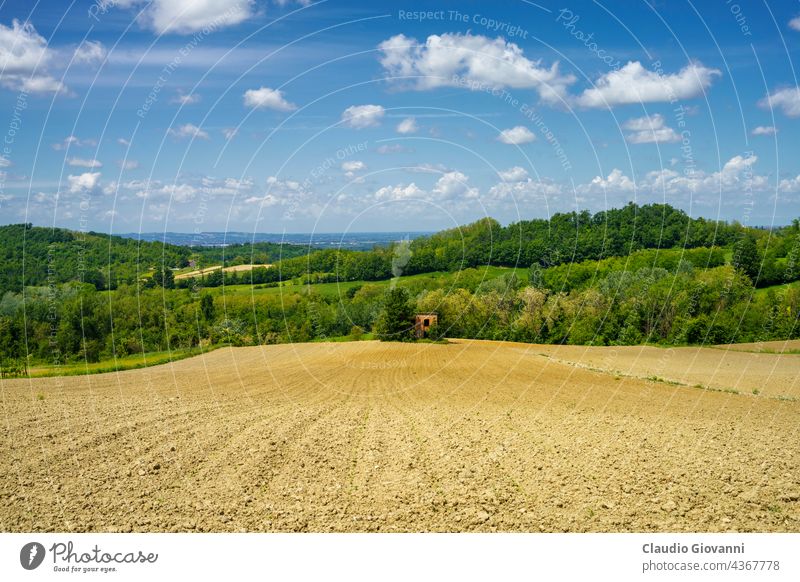 Landscape on the Tortona hills at springtime. Alessandria Colli Tortonesi Europe Italy Piedmont color day field green house landscape nature outdoor photography