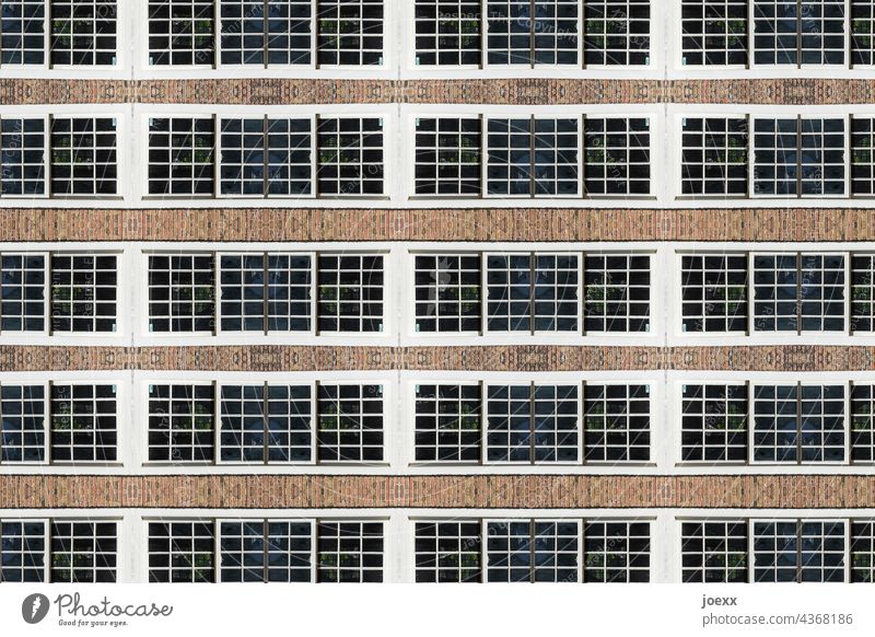 Window row on facade Facade Exterior shot Colour photo Wall (building) House (Residential Structure) Building Wall (barrier) Deserted Architecture Pattern