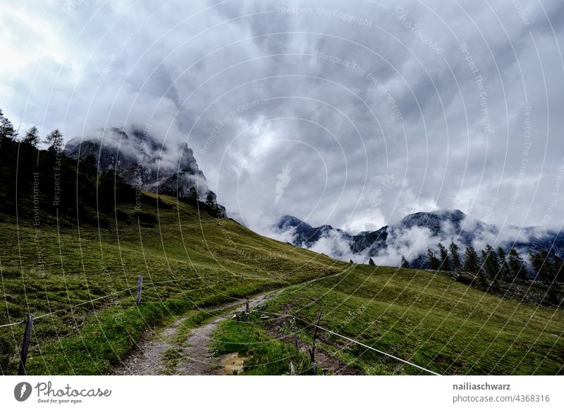 alpine landscape idyllically Austria Europe Relaxation Environment Landscape Field Rock Happiness High King Fresh Gigantic naturally pretty Calm Enthusiasm