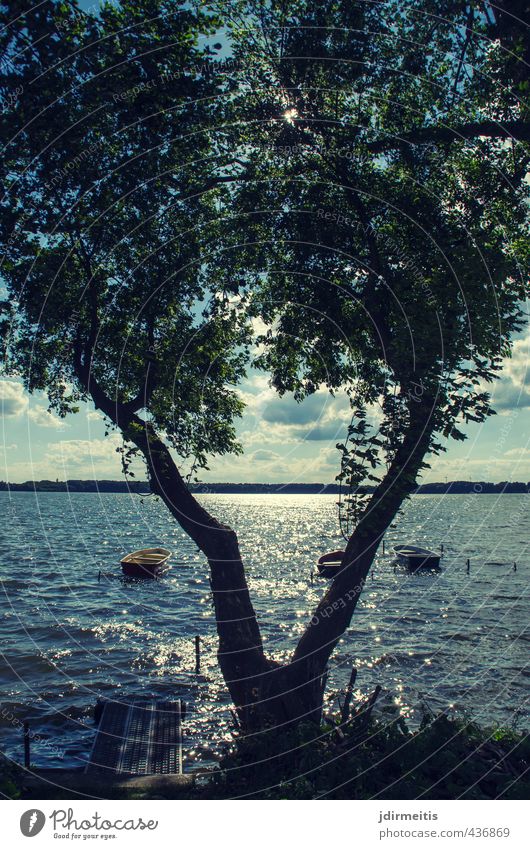 V Trip Summer Lake Nature Landscape Plant Water Sky Clouds Tree Lakeside Rowboat Relaxation Colour photo Exterior shot Day Sunlight Back-light