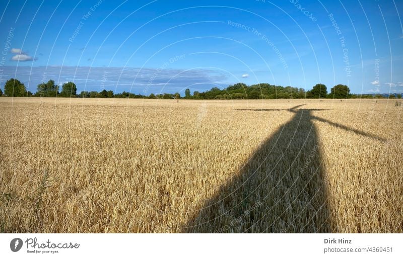 Shadow of a wind turbine on grain field Wind energy plant eco-power Renewable energy Energy Energy industry Pinwheel Electricity Environmental protection