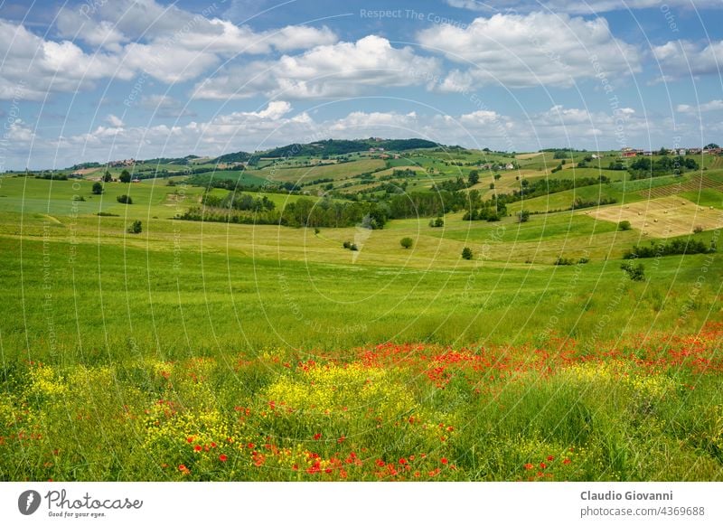 Landscape on the Tortona hills at springtime. Alessandria Cerreto Grue Colli Tortonesi Europe Italy Piedmont color day field green house landscape nature