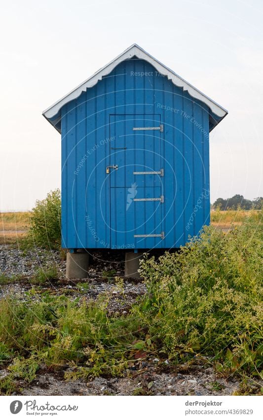 Beach house on the hygge island Ærø in Denmark VI Wooden house Scandinavia Loneliness Idyll North travel Sand Europe coast Landscape Deserted Dream house