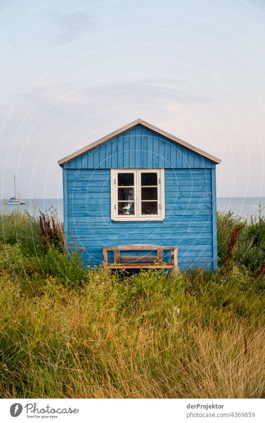 Beach house on the hygge island Ærø in Denmark II Wooden house Scandinavia Loneliness Idyll North travel Sand Europe coast Landscape Deserted Dream house