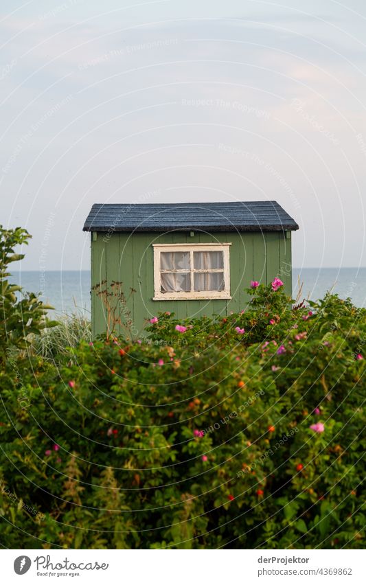 Beach house on the hygge island Ærø in Denmark I Wooden house Scandinavia Loneliness Idyll North travel Sand Europe coast Landscape Deserted Dream house