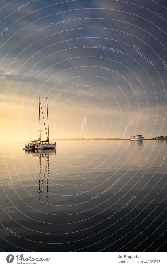 Sunrise with sailboats in the morning on the Baltic Sea in Denmark relaxation relax & recuperate" Recreation area bathe Freedom Summer vacation Vacation mood