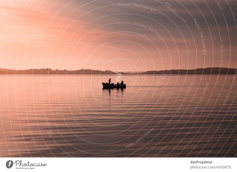 Boat sails across the Baltic Sea in Denmark in the morning relaxation relax & recuperate" Recreation area bathe Freedom Summer vacation Vacation mood