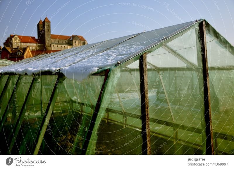 Greenhouse in Quedlinburg collegiate church quedlinburg Old town Historic Town mountain Tower Architecture Manmade structures Tourist Attraction Landmark