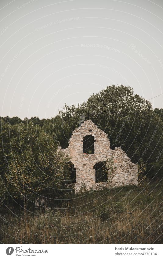 remaining of the old house covered in leaves and trees Remaining stone nouse nature Abandoned abandoned house Stone wall Stone block stones Natural Leftovers